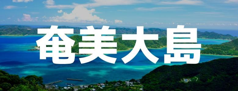 九州で住み込みリゾートバイト|ダイブは求人数No.1（奄美大島）